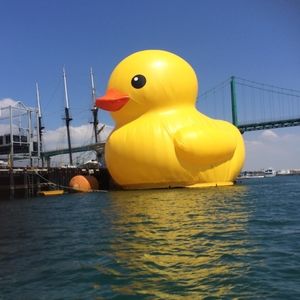 Meet your Posher, Kimberlin